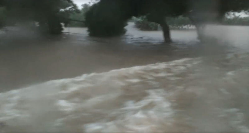 6月2日清晨暴雨不斷，三芝地區淹水情況嚴重。   圖：擷取自阮厝住三芝 Facebook 粉絲專頁