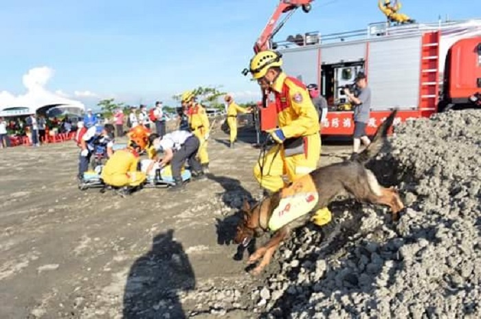 水災災害防救演習出動救難犬搜尋生還者。           圖：陳菊臉書