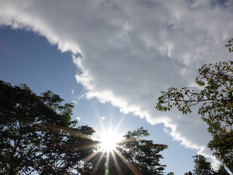 今日雖然各地有雲，但太陽相當毒辣，紫外線幾乎全數過量，民眾出外務必小心。   圖：Pixabay／提供