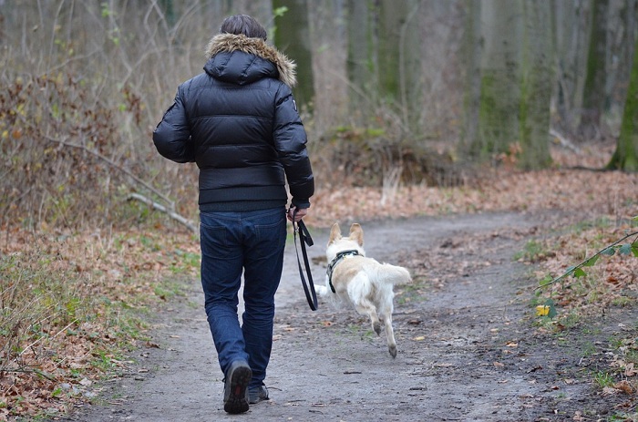 即便是悠閒的散步或遛狗都能增加幸福感！   圖：寵毛網petsmao資訊平台提供