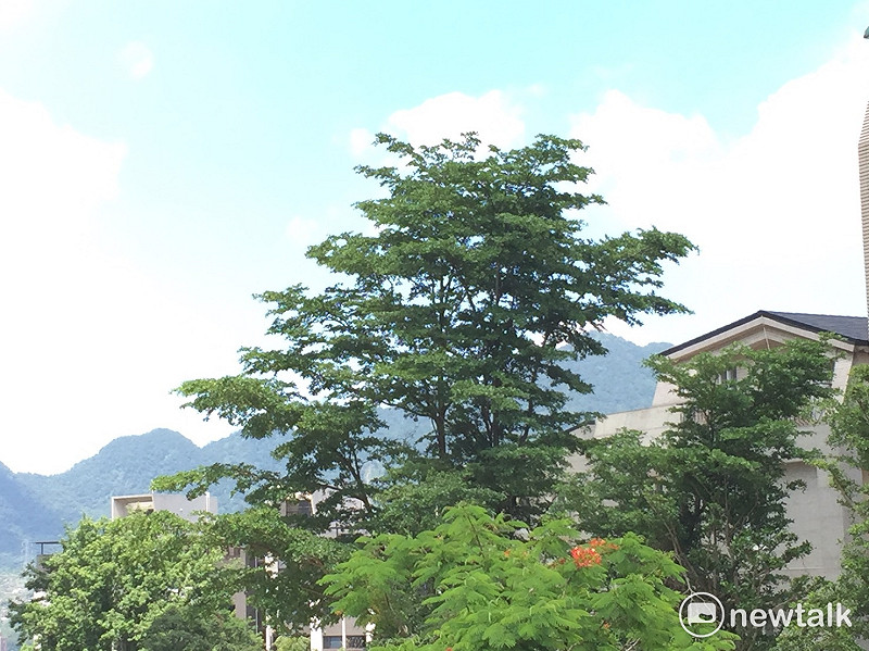 今日全台氣溫攀高，紫外線過量，對人體相當不健康。   圖：陳奕／攝