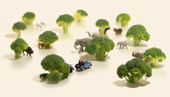 田中達也利用生活中隨處可見的食材，以及各式的小玩偶，創造出宛若《格列佛遊記》中的小人國   圖：翻拍自寬宏售票系統