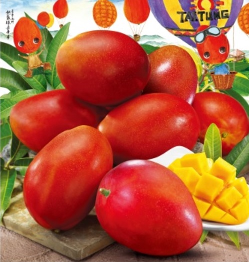 台灣芒果享譽國際，每年農委會都會製作月曆，讓民眾選購。   農委會