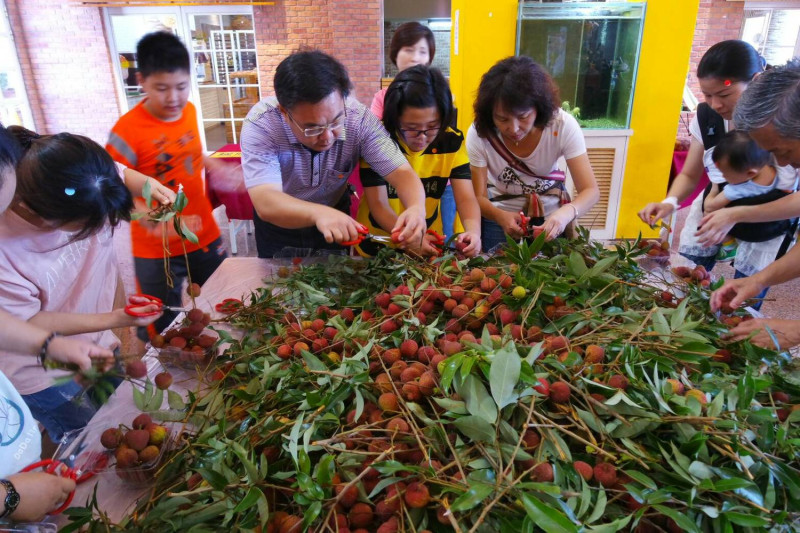 大樹、旗山、內門等地區出產的玉荷包荔枝．是國際外銷市場上認定的台灣之光。   圖：農業局／提供