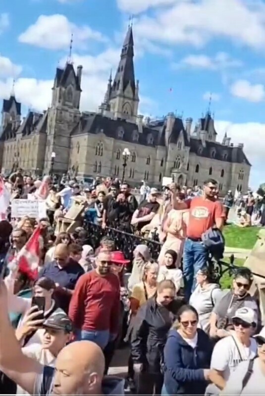 這場由各地人們一同發起的「放過孩子」示威活動，橫跨加拿大。   圖：翻攝自 Cosmin Dzsurdzsa X（前推特）帳號