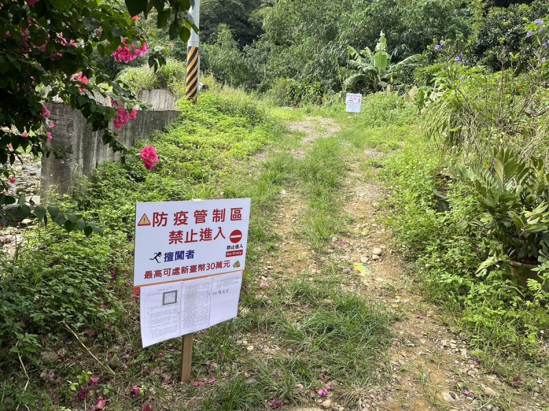 新北市府加強五股區筍園管制，禁止人員進入。   圖：新北市衛生局/提供