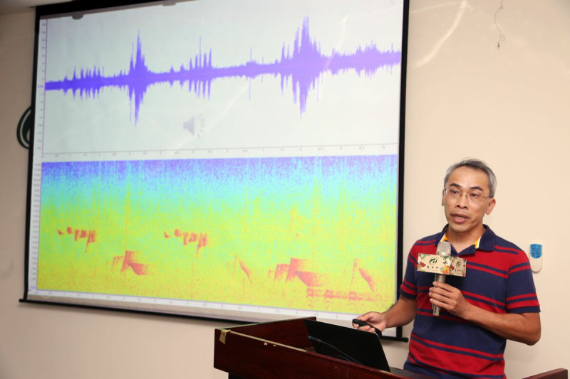 農業部生物多樣性研究所(簡稱生多所)今宣布創建了一個「聽聲辨種」的人工智慧AI工具—SILIC，可以精確識別出台灣184種動物的聲音。   圖：農業部生物多樣性研究所／提供
