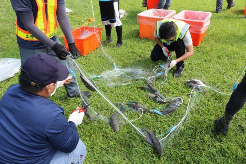 台北市公園處今天表示，持續推動公園生態化，29日分別於大湖荷花池及碧湖九曲橋前放流原生魚。（示意圖）   圖：台北市公園處（資料照）