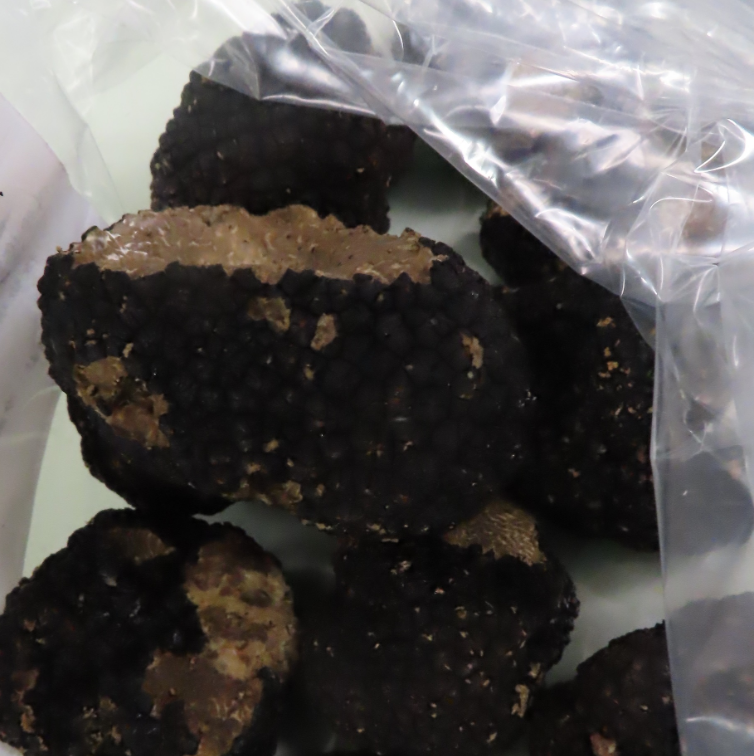 義大利「黑松露」，檢出重金屬鎘5mg/kg，超過菇蕈類的鎘限量2mg/kg，其製造商是GEOFOODS SRL。   圖：食藥署／提供