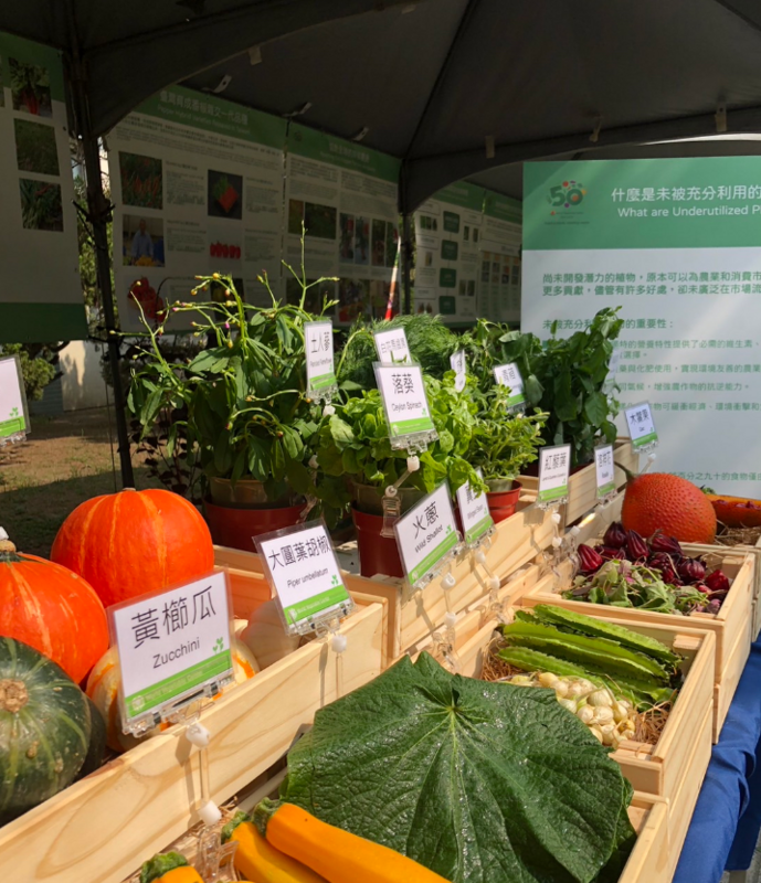 「世界蔬菜中心」50週年慶，現場展示多種蔬菜。   圖：農業部／提供