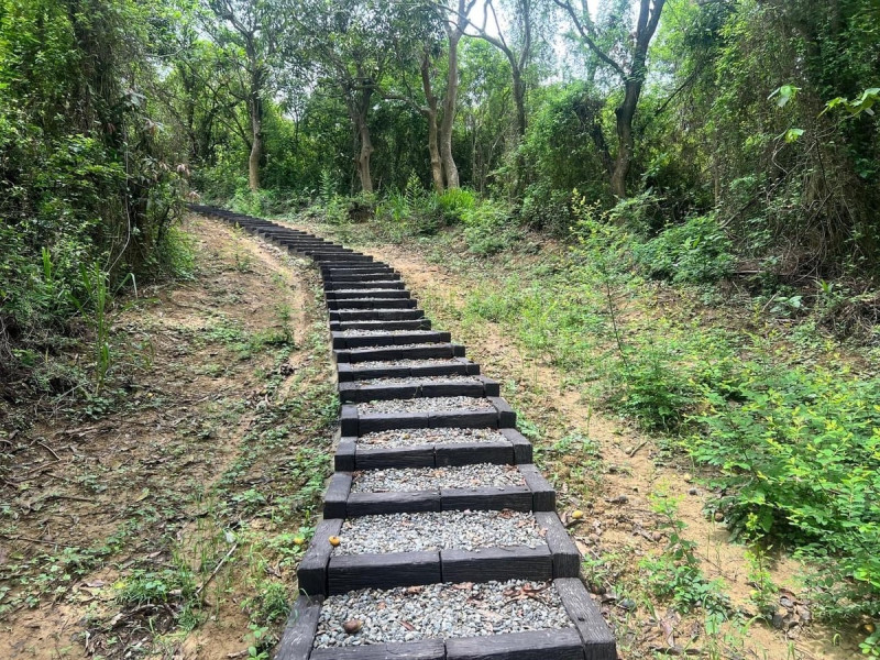 林間步道階梯。   圖：台南市政府觀光旅遊局／提供