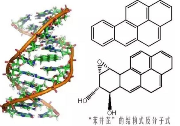 苯駢芘為一種間接的致癌物質，從18世紀以來，便發現與許多癌症有關。