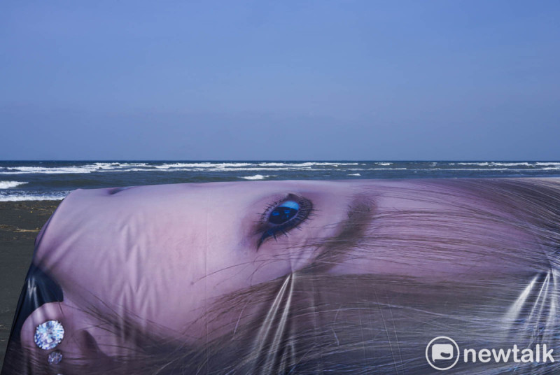 海灘上，競選帆布上的候選人肖像僅露出一半的臉孔和一隻眼睛，非常詭異與超現實，成為冬季的蘭陽溪口海灘獨特的地景。   圖：張良一/攝
