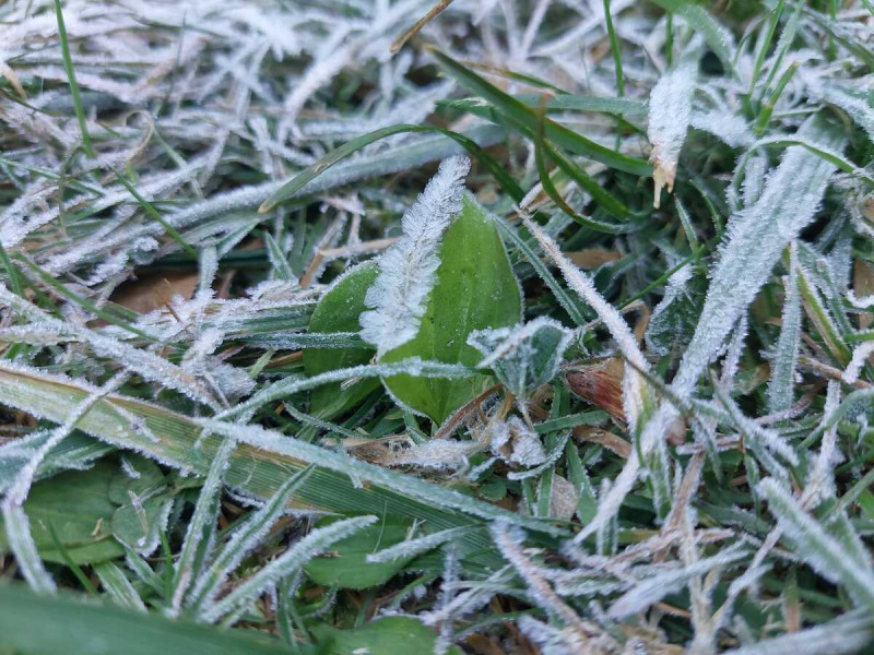 玉山塔塔加結霜成雪白世界，不過玉山國家公園管理處提醒，民眾務必要適當停放愛車欣賞。   圖：翻攝自玉山國家公園臉書