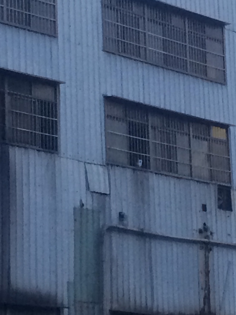 工廠內的監視器向五股坑溪旁拍攝。   圖：新北市議員李婉鈺團隊提供