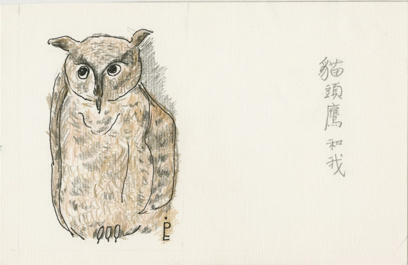 林良插畫：貓頭鷹和我   圖：國家圖書館/提供