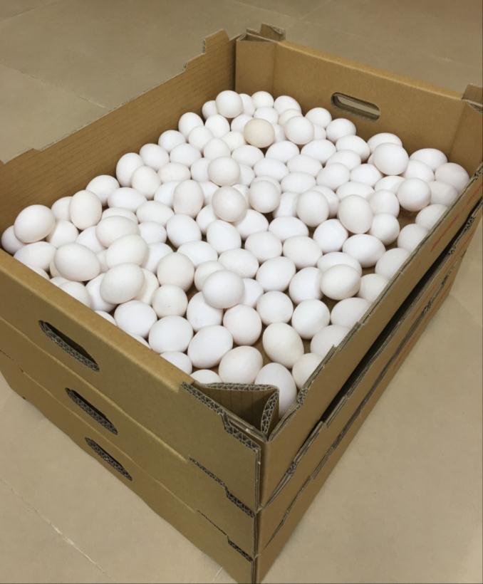 禽蛋直接使用紙質蛋箱(盤、盒)、聚乳酸(PLA)蛋盤(盒)、PVC蛋盤(盒)、塑膠蛋箱(PVC)等材質容器或包材盛裝，只要使用後不再回到養禽場重複使用者，也能符合規定。   圖：防檢局／提供