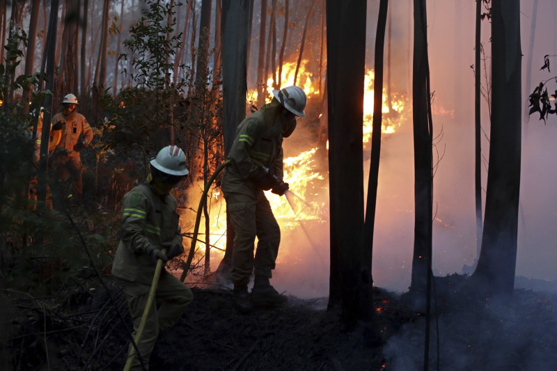 葡萄牙政府今天指出，該國中部爆發森林大火，造成至少43人喪生、數十人受傷，大多數人被燒死在自己車內。   圖 : 達志影像/ 美聯社