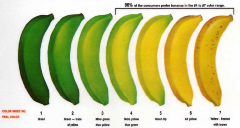 網路流傳「兩頭綠」之香蕉，實為果皮轉色級數達第 5 級之後熟香蕉，農糧署特別澄清指出:有關 LINE 或網路流傳「香蕉頭尾綠色易致癌」，為不實報導。   圖:翻攝自農糧署官網