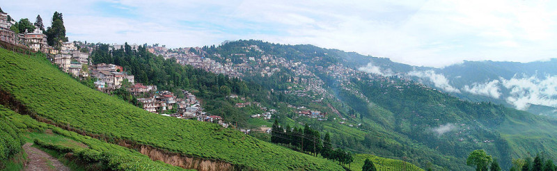 印度大吉嶺海拔超過2000公尺，風景優美，又盛產紅茶，每年吸引不少觀光客造訪。   圖：翻攝維基網站
