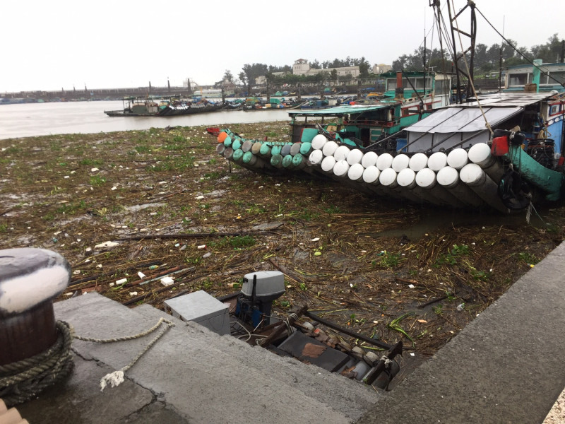 嘉義縣東石漁港在此波豪雨後，漂進大量樹枝、垃圾及布袋蓮等雜物，影響船隻進出。   圖：嘉義縣政府提供