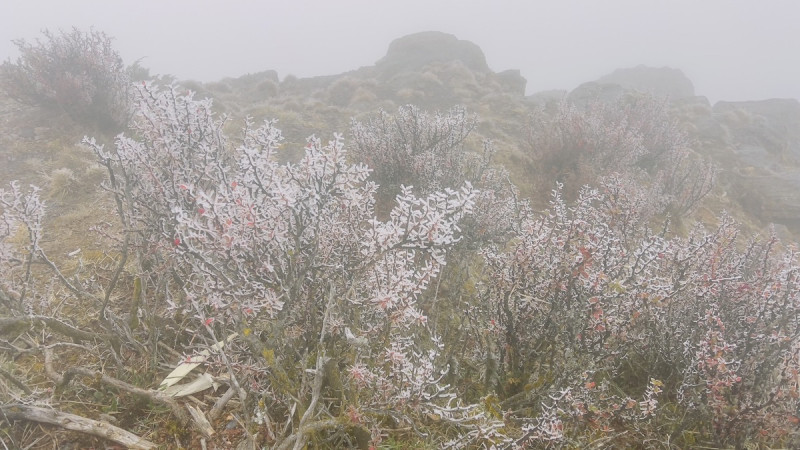 玉山清晨零下6.6度，已能觀測到霧淞。   圖：中央氣象署／提供