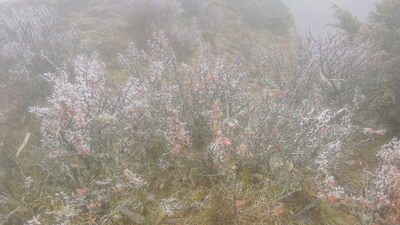 玉山氣象站(玉山北峰)有觀測到霧淞，現場白茫茫的一片像仙境一樣很漂亮。   圖：中央氣象署／提供
