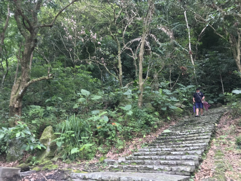 台南南化的龍湖登山步道。   圖：台南市政府觀光旅遊局／提供