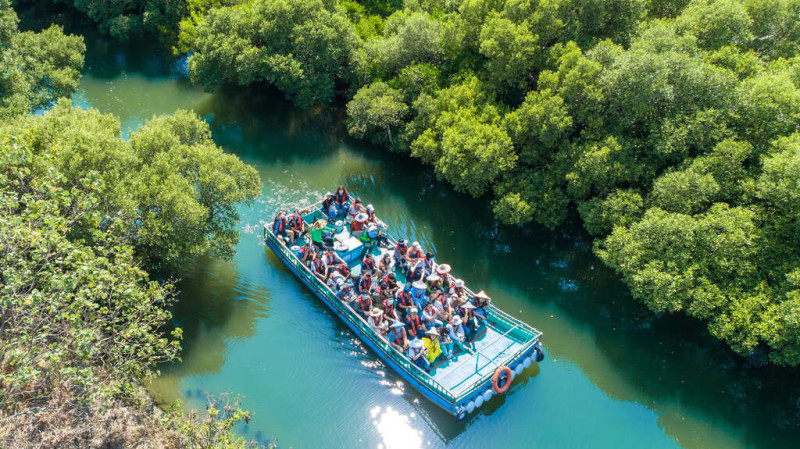 「四草綠色隧道」讓遊客可以乘坐管筏，展開一趟綠色之旅。   圖：台南市政府觀光旅遊局／提供
