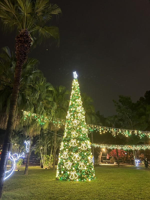 一年一度浪漫的聖誕節即將到來，許多民眾會購買聖誕樹、花圈等裝飾品至家中，追求浪漫耶誕氛圍。（聖誕示意圖）   圖：林岑韋/攝