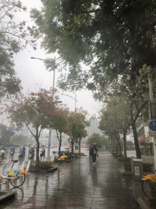 雨中漫步或騎乘自行車暢遊於人行街道上，更能深刻體驗黃連木橘紅浪漫暖意。   圖：翻攝自台北市政府工務局公園路燈工程管理處官網