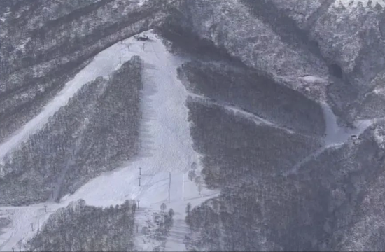 新潟縣滑雪場發生一名女子因跌倒遭雪掩埋而往生的悲劇。圖為事發滑雪場。   圖：翻攝自新浪網