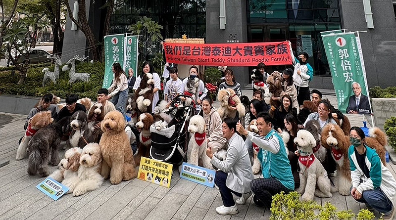 台灣泰迪大貴賓家族造訪郭倍宏競選總部。   圖：郭倍宏競總/提供