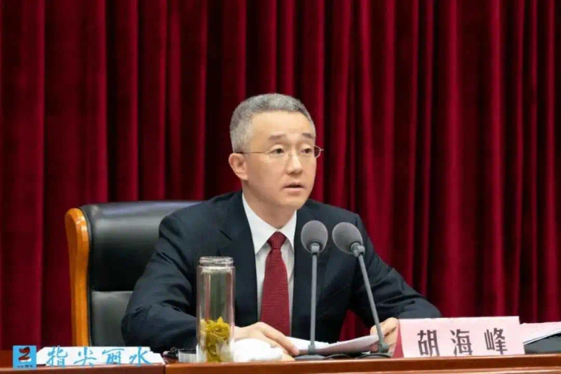 前中共總書記胡錦濤之子胡海峰。   圖 : 翻攝自鳳凰網