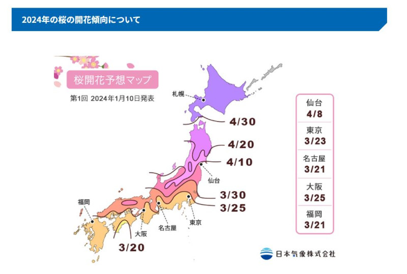 日本氣象株式會社公布2024各地「櫻花盛開」預報。   圖：翻攝自「日本氣象株式會社」官網