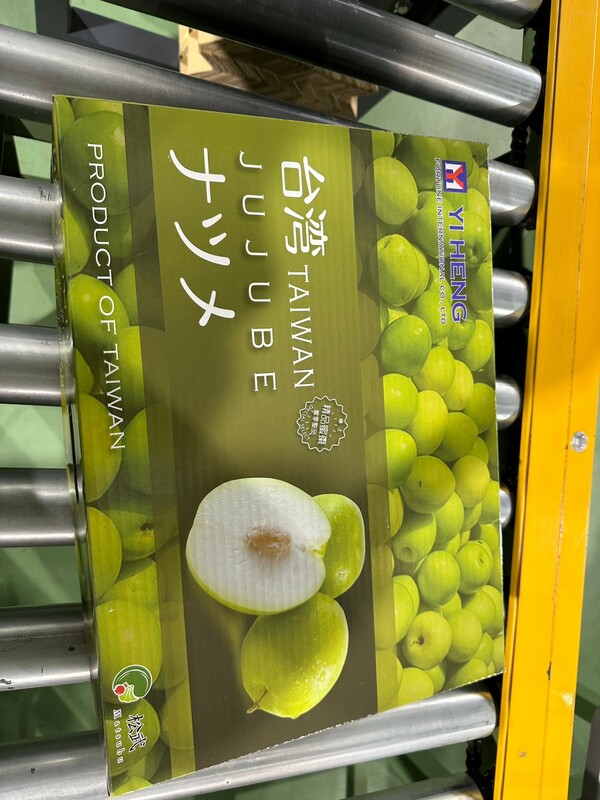 屏東蜜棗進行低溫處理準備銷往日本。   圖：屏東縣政府農業產銷科／提供