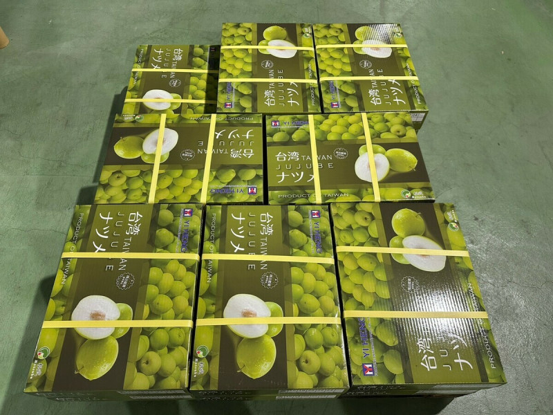 屏東蜜棗進行集貨整理準備銷往日本。   圖：屏東縣政府農業產銷科／提供