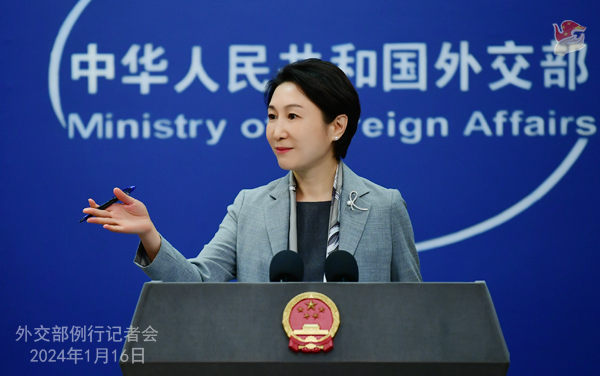 中國外交部發言人毛寧聲稱聲稱，警察初步判斷這是一起偶發事件。   圖：翻攝自 mfa.gov.cn