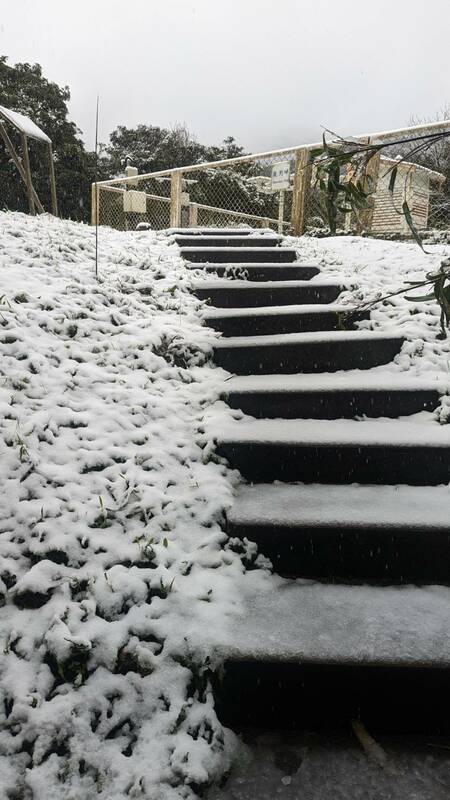 陽明山鞍部氣象站、二子坪、大屯山也出現雪訊。(圖為鞍部氣象站)   圖：中央氣象署／提供