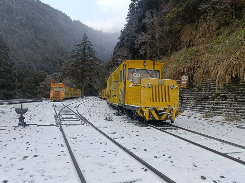 今天清晨6點，太平山莊一帶地面積雪已達3公分，形成一片銀白世界。   圖：取自太平山國家森林遊樂區