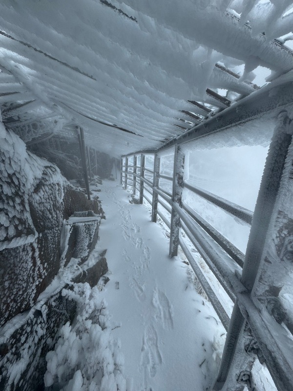玉山主峰風口段積雪約10公分。   圖：取自玉山國家公園