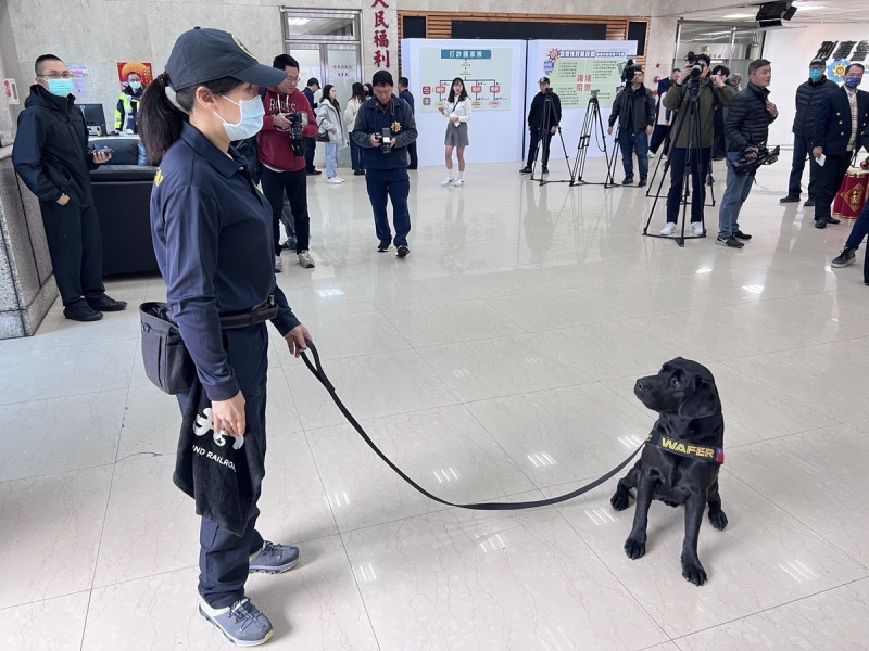 刑事警察局電子產品偵測犬「Wafer」。   圖：刑事警察局提供