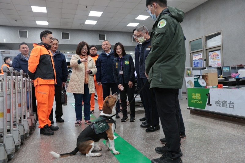 海巡偵搜犬投入國境防疫工作。   圖：海委會/提供