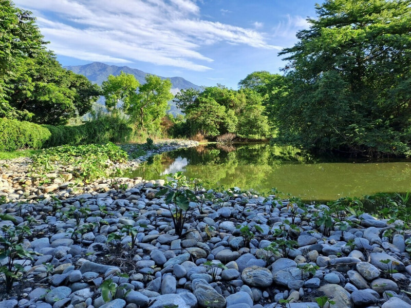 關山人工溼地也是台東縣內第一座處理污水的人工濕地，除污水淨化功能外，也有遊憩功能。（圖為關山人工溼地）   圖：台東縣環境保護局／提供