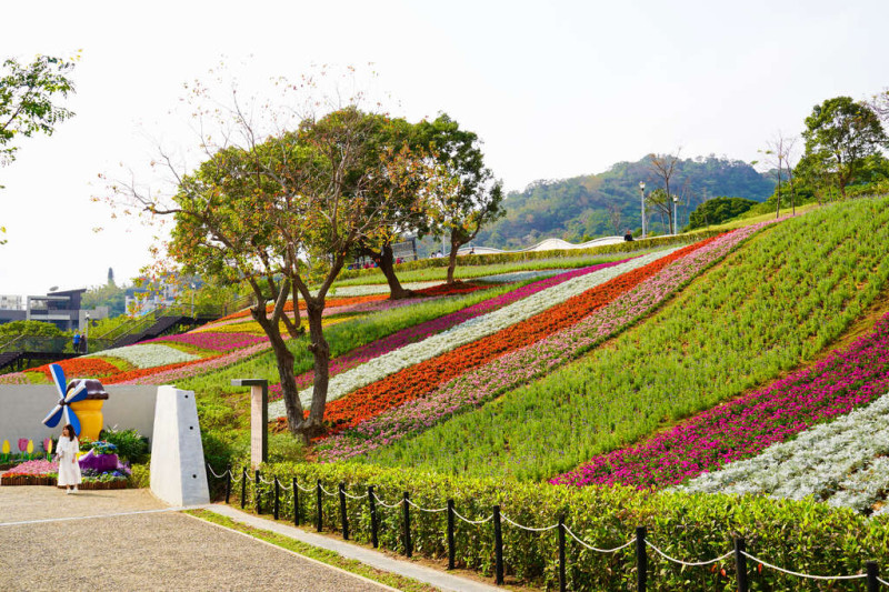 北投三層崎公園花海有「臺版富良野」美譽。   翻攝自 台北旅遊網