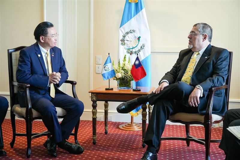 外交部長吳釗燮（左）與瓜地馬拉總統阿雷瓦洛（圖右）會談。   圖：翻攝阿雷瓦洛臉書