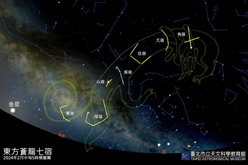 冬季深夜後現身的「東方蒼龍」由中國傳統星象中的角宿、亢宿、氐宿、房宿、心宿、尾宿和箕宿等7宿，共48個星官，161顆星組成。   圖：台北市立天文科學教育館／提供