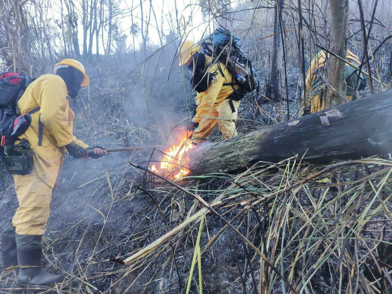 森林護管員進行地面滅火。   圖：林業署台中分署／提供
