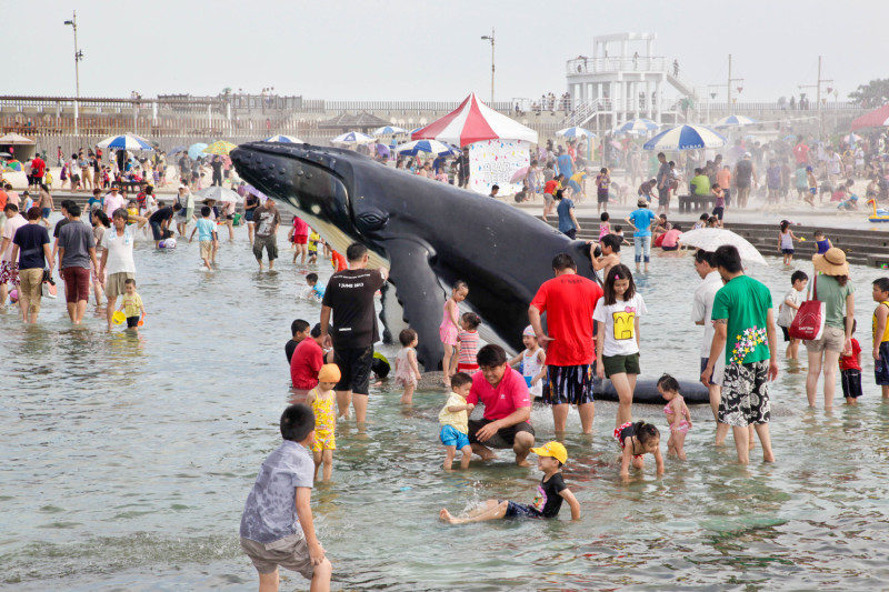 嘉義東石漁人碼頭是雲嘉南濱海夏天最熱門的旅遊景點之一，7/1鯨魚池開放戲水後，將成為親子暑假期間最好的消暑選擇之一。   嘉義縣文化觀光局