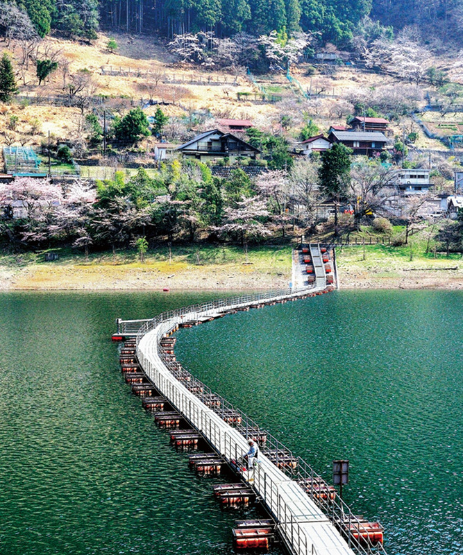 走在奧多摩湖湖面上稱為「汽油桶浮橋」的歩行者専用浮橋，享受大自然環抱。   圖：東京觀光財團／提供　